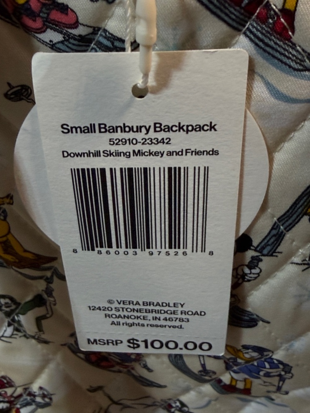 Vera Bradley Disney Small Banbury Backpack in Downhill Skiing Mickey And Friends - Picture 7 of 7